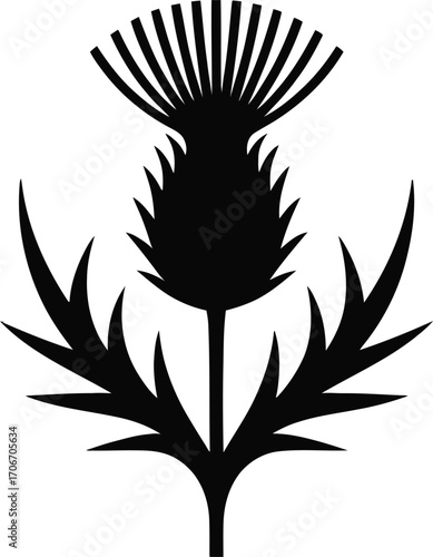 Wild scottish thistle flower plant silhouette design