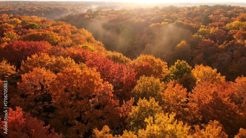 Aerial flyover of a dense autumn forest shrouded in light morning mist with dappled sunlight above, tranquil, view