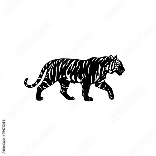 Silhouette of a walking tiger with bold stripes. Black vector illustration symbolizing power, strength, wildlife, jungle predator, and endangered big cat species