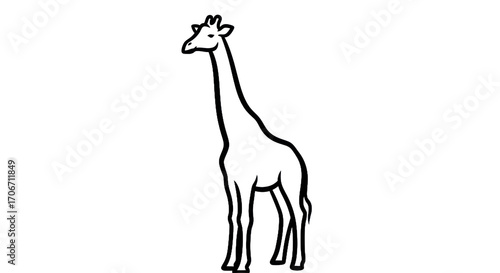 Giraffe silhouette outline illustration