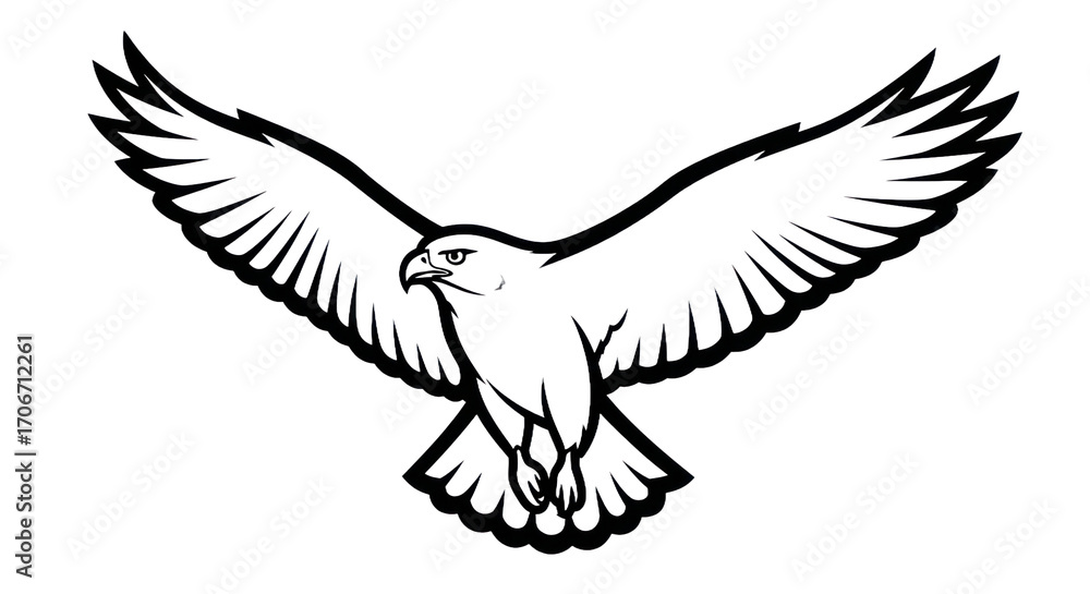 Obraz premium Hawk silhouette flying