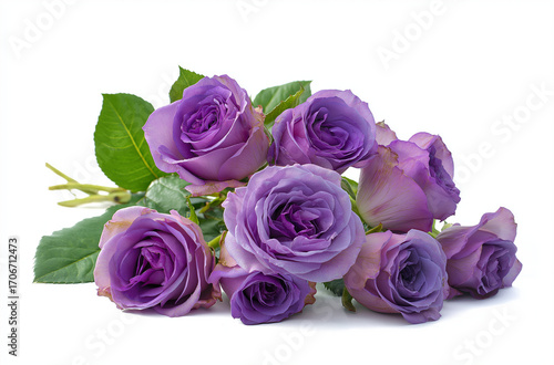 A bunch of purple roses with green leaves lying on a white surface studio shot