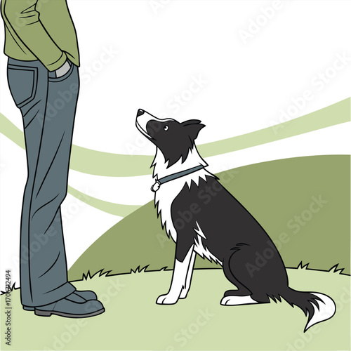 Person and dog training session outdoors border collie