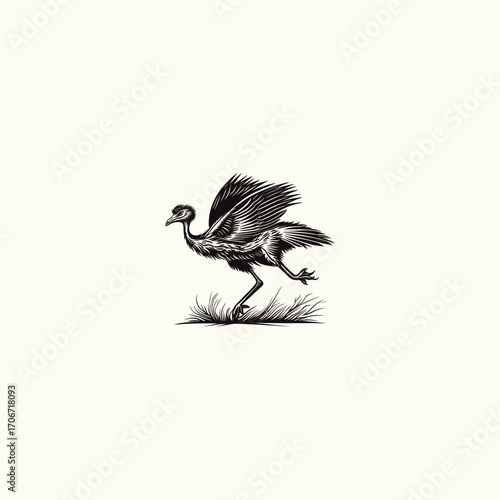 illustration featuring a lively Emu or flightless bird in motion, running with wings flared in a grass field