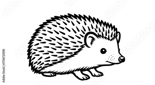 Outlined hedgehog illustration