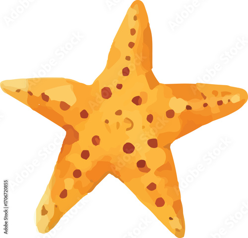 starfish