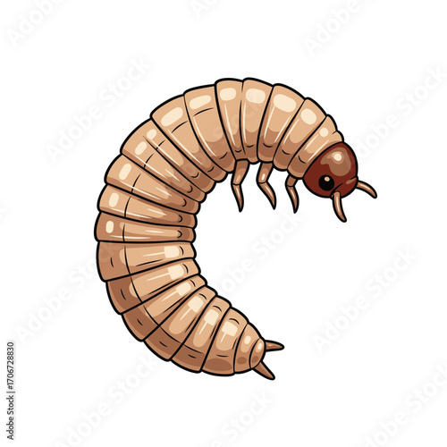 Detailed illustration of a large insect larva.