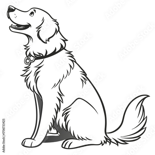 A happy friendly golden retriever dog sits patiently looking upwards with its mouth open in a smile wearing a collar with a tag presented as a clean black and white line art illustration