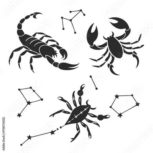 Scorpio zodiac sign and constellation graphics in black silhouette on a white background representing astrology and celestial themes