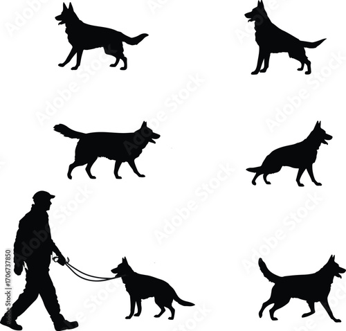 Set of dog walking silhouettes isolated on white background