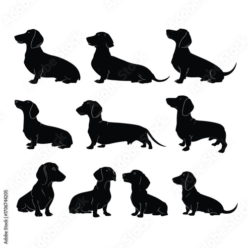 Collection of dachshund dog silhouettes in various poses isolated on white background