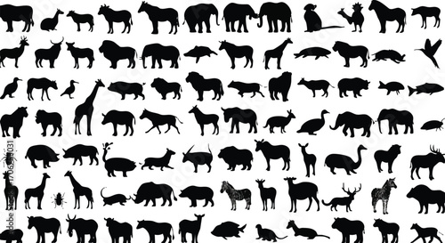 Silhouette Vector Illustration of Various Animals Collection of Black Silhouettes