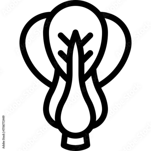Bok Choy Fresh Icon