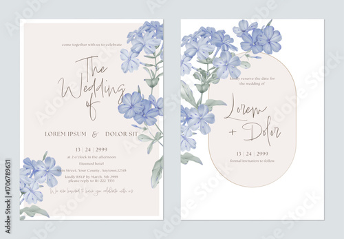 Wedding invitation and save the date template set with a minimalist design and soft, watercolor illustrations of Cape leadwort flowers and grayish-green leaves on a pale pink background