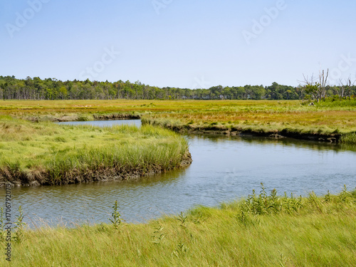 Little River Winding through the Marshland of Rachel Carson National Wildlife Reserve in Maine