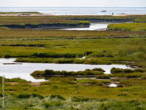 Impressionistic Photograph of a River and Marsh with the Atlantic Ocean in the Background