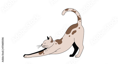 A cute cat stretches its body while standing up on its hind legs.