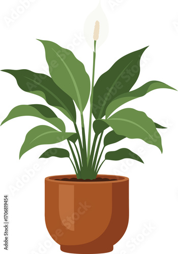 Peace Lily Houseplant with Single White Bloom in Brown Pot and Lush Green Leaves, Minimalist Botanical Indoor Accent for Modern Home Decor, Calming Nature Art, and Room Styling