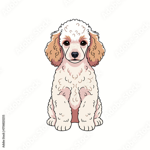 A cute dog vector illustration of a white poodle puppy with brown ears sitting on a plain white background looking directly at the viewer with big brown eyes and a curious