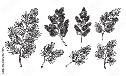 nature dry leaf set