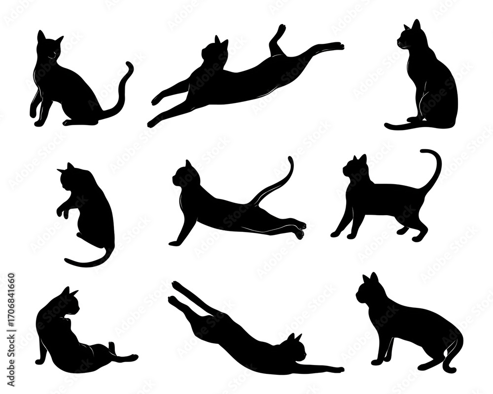 Fototapeta premium set of cats silhouettes