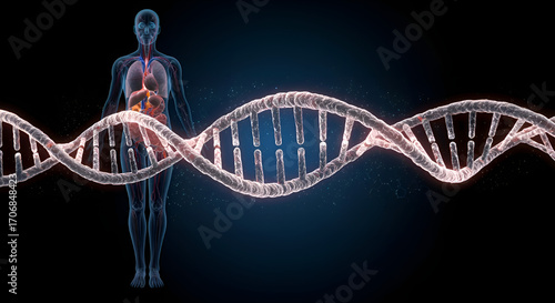       dna