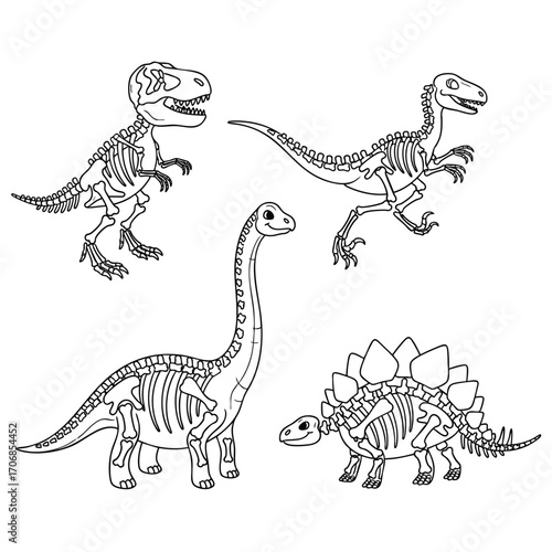 A collection of four illustrated dinosaur skeletons in a black and white line art style.