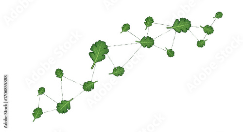 Green kale leaves connected by white lines on a white background, representing National Kale Day with a fresh and healthy mood.