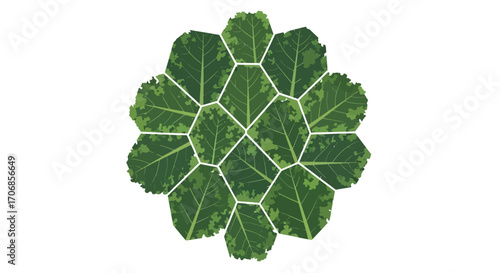 A creative arrangement of vibrant green kale leaves forming a circular pattern on a clean white background, highlighting the leafy vegetable's texture and color for National Kale Day.