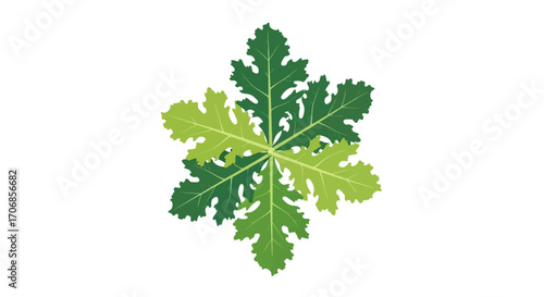 Vibrant green kale leaf on a clean white background, highlighting its healthy and nutritious aspects for National Kale Day.