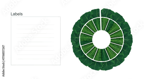 A creative flat lay composition of a green kale wreath on a white background with a label, celebrating National Kale Day with fresh produce.