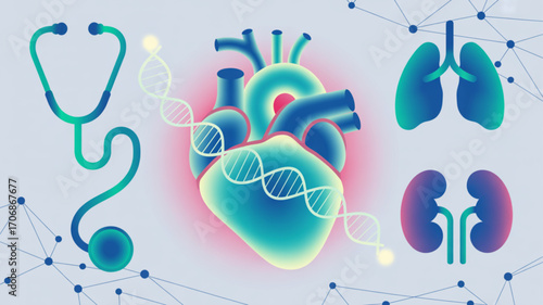 Illustration of human organs including heart, lungs, kidneys, and stethoscope, representing healthcare, medicine, and medical technology concept