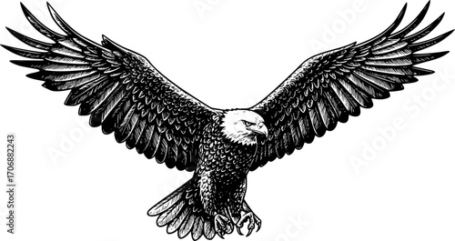 eagle flying in the sky sketch engraving black and white outline. Scratch board imitation.
