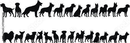 Dog breed silhouettes, vector illustration, domestic animals, pet graphic, black dogs, various breeds, side view, isolated, design element, collection