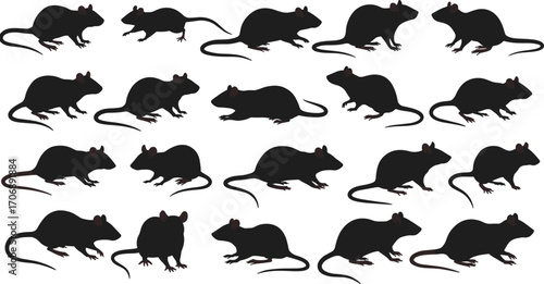 Multiple black rat silhouettes in various poses, side and top view, vector rodent illustration for pest control, science, or Halloween design