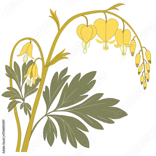 branch with  dicentra canary yellow