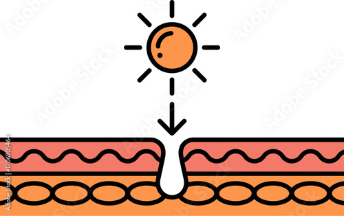 Sun's harmful rays damaging skin layers, causing cellular damage and dryness.