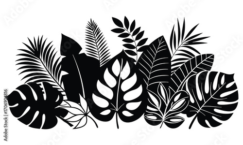 Tropical Leaf Silhouette Vector Collection  Exotic Jungle Plant Clipart Set