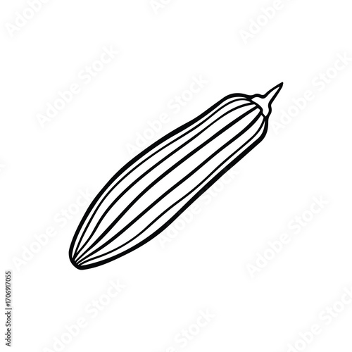 okra vegetable outline vector illustration line art