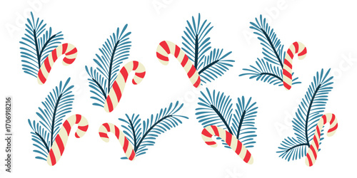Set of candy canes and fir branches arranged in festive holiday combinations. Christmas illustration symbolizing winter decor, sweetness and seasonal celebration