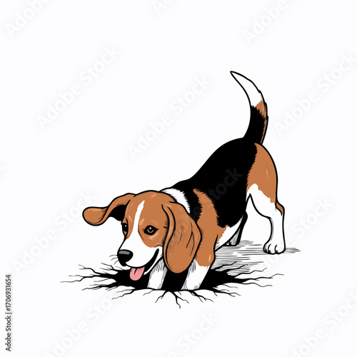 A cute beagle dog is digging a hole in the ground with its paws and snout energetically. The dog has distinctive brown white and black fur with floppy ears and a wagging tail. It