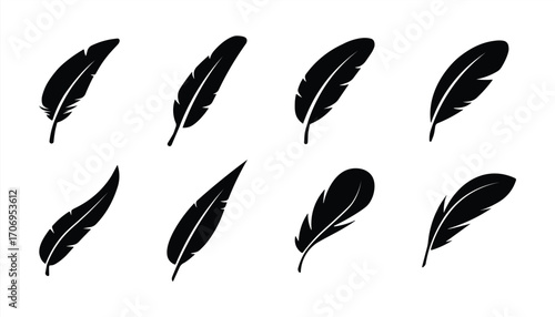 Set of black feather in a flat style. Set of bird feather. Pen vector icons. Black quill feather silhouette. Plumelet collection isolated on white background. Feather silhouettes See Less