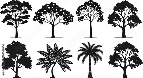 Assortment of Tree Silhouettes nature plant