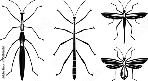 Black silhouette icons of stick insects and dragonflies