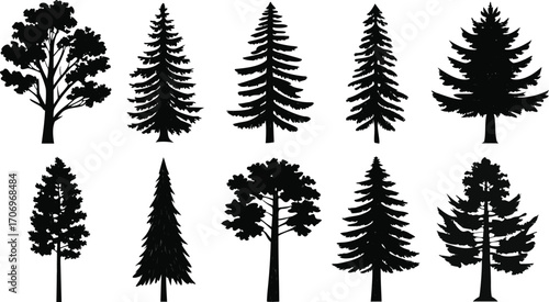 Collection of Black Tree Silhouettes nature forest