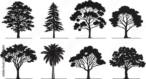 Silhouettes of diverse tree species in black and white