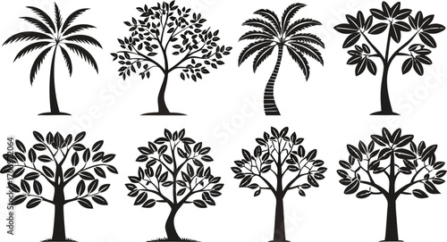 Tree Silhouettes Collection palm tree deciduous tree