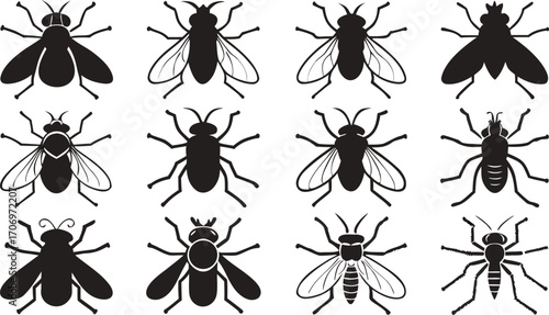 Twelve Silhouette Icons of Flying Insects wing
