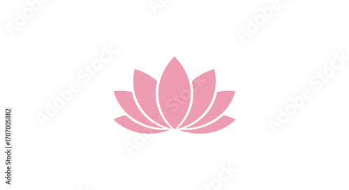 a delicate pink lotus flower blooming softly against white background