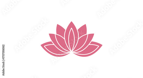 a delicate pink lotus flower blooming softly